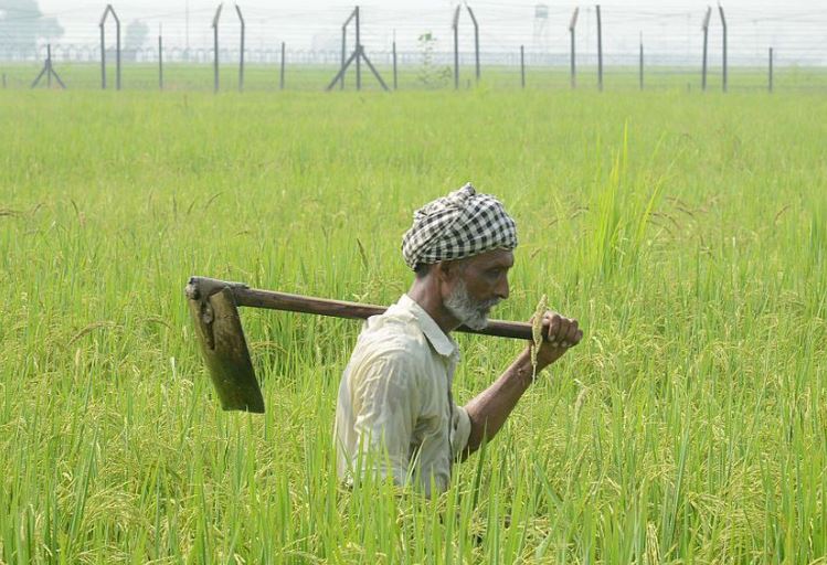 farmer