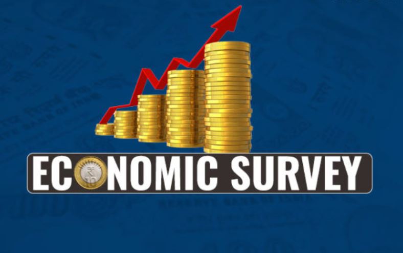 economy survey 18-19