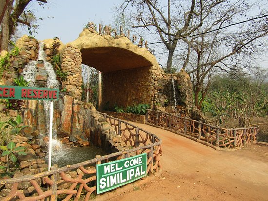 simlipal-national-park