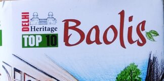 BOOK REVIEW: Baolis