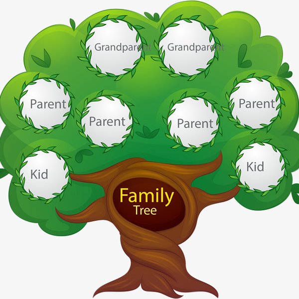 family tree picture