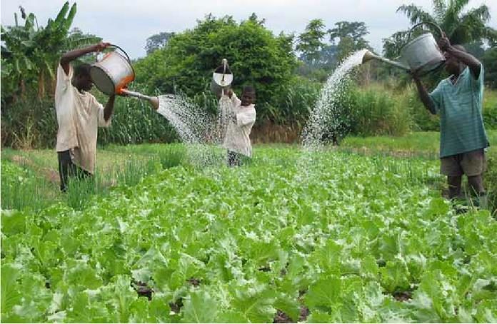 water use in agriculture