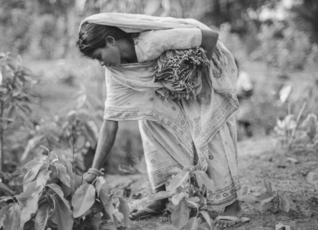 women_P Sainath