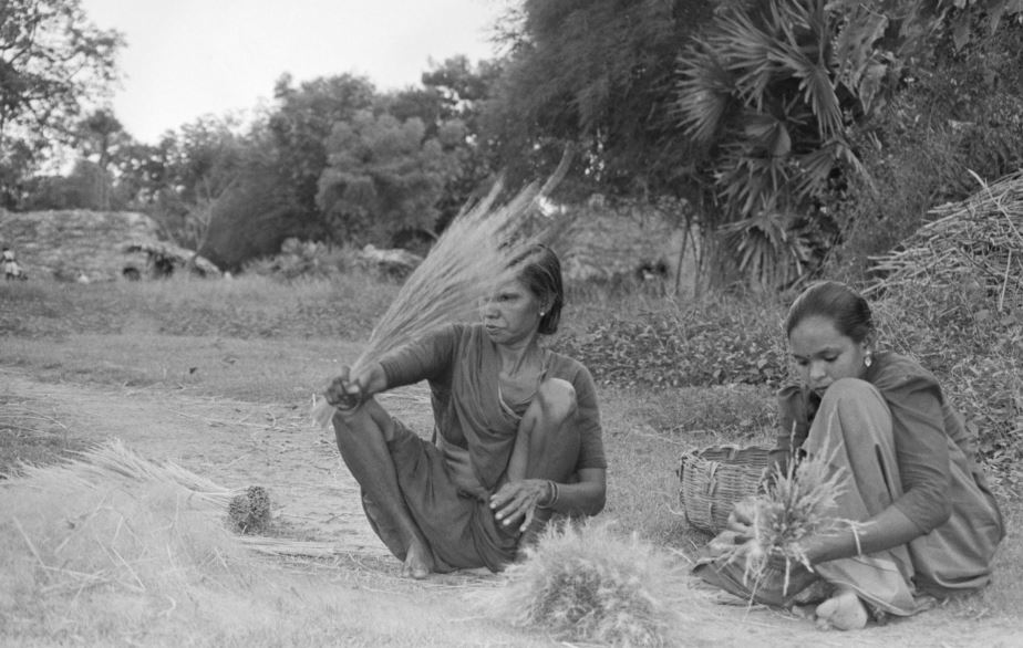 women_P Sainath_Women Story_Social News