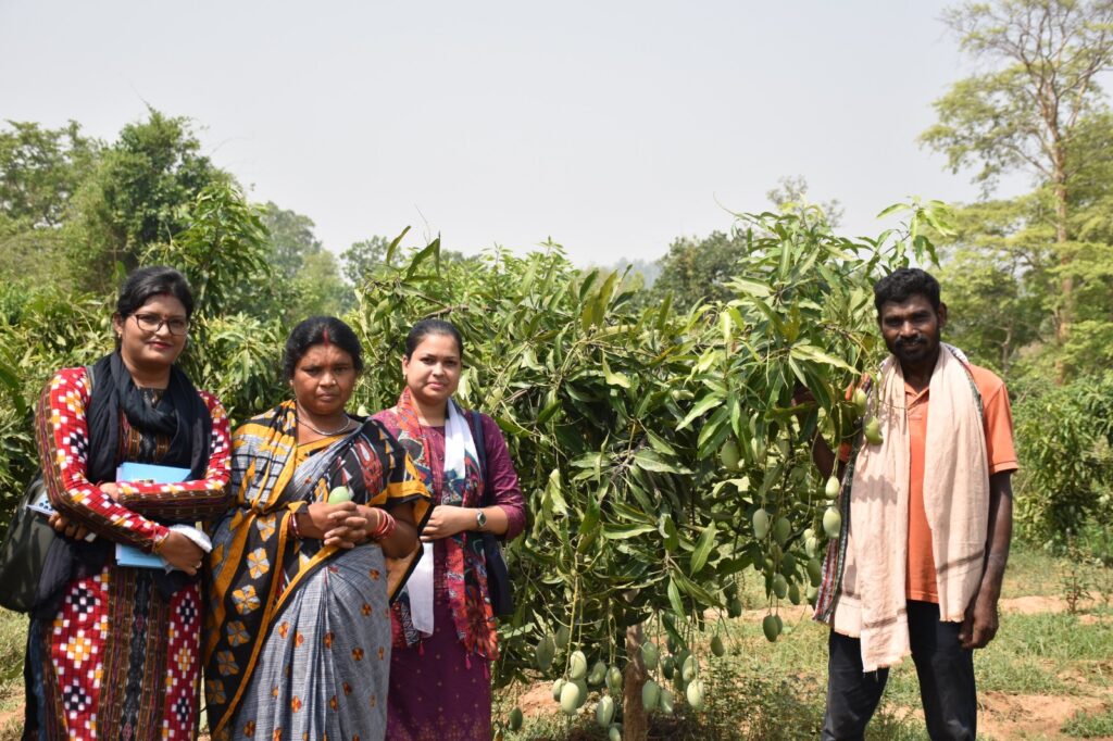 Tribal Farmers Earn Sustainable Income with Fruit Plantation