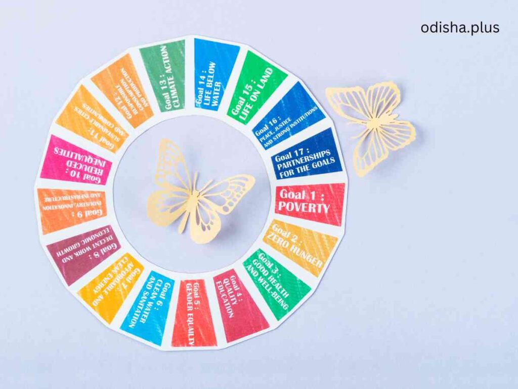 Sustainable Development Goals: A Blueprint for a Better Tomorrow