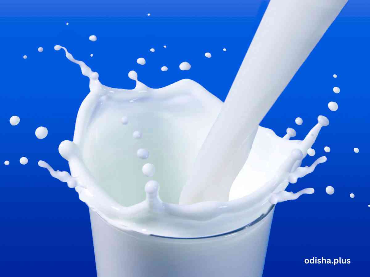Nourishing Futures: The 'Gift Milk' Initiative for School Children